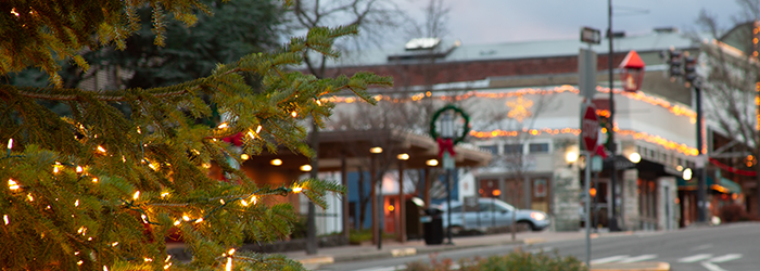 A lighted Christmas tree in front of a Carbondale, Illinois intersection showing businesses in the background