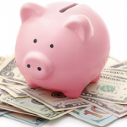 Financial Literacy; Piggy Bank