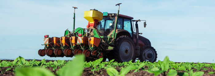 Image shows ground view of tractor with planting equipment in a field of small green plants