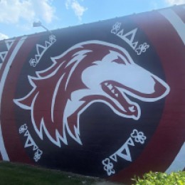 Do You Have Saluki Pride? Absaluki!