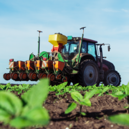Image shows ground view of tractor with planting equipment in a field of small green plants