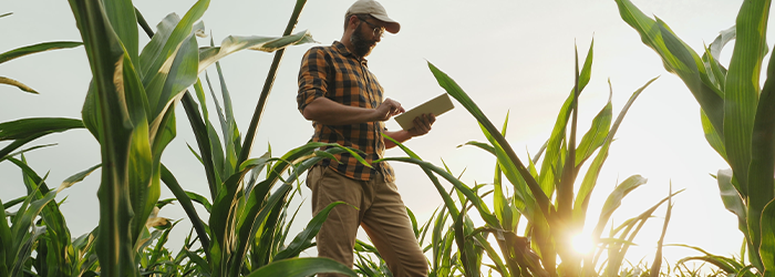 Cultivating Success: A Guide To Financing Your Farming Operations