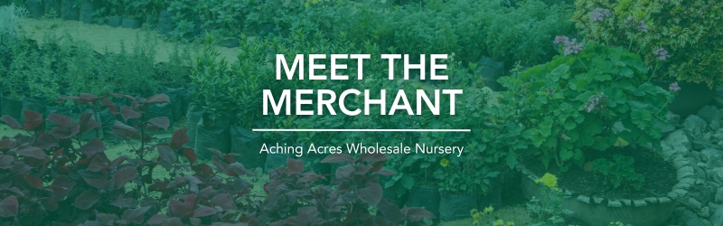Meet The Merchant – Aching Acres Wholesale Nursery