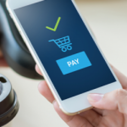 Holiday Shopping With Your Digital Wallet article image