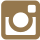 Instagram icon